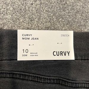 AE CURVY Mom Jean. NWT